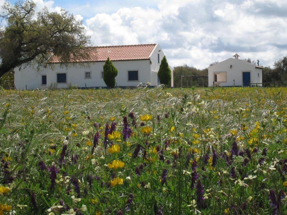 Monte Das Faias Cork Farm Hotel Grândola Exteriér fotografie